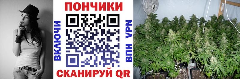Купить  Зеленоградск  Шишки марихуана ГИДРОПОН 
